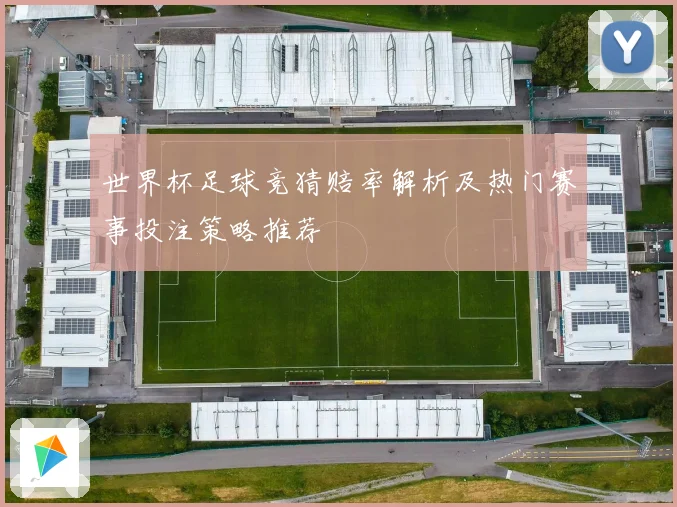 世界杯足球竞猜赔率解析及热门赛事投注策略推荐