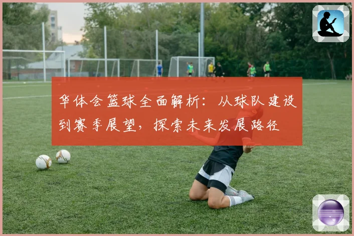 华体会篮球全面解析：从球队建设到赛季展望，探索未来发展路径