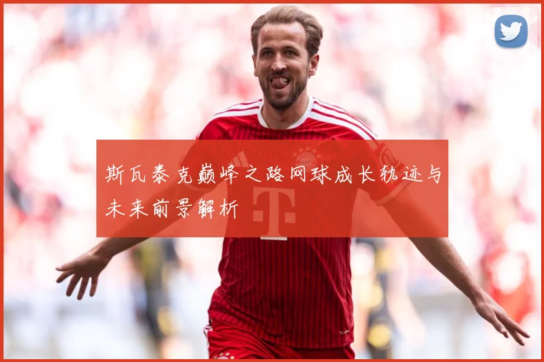 斯瓦泰克巅峰之路网球成长轨迹与未来前景解析