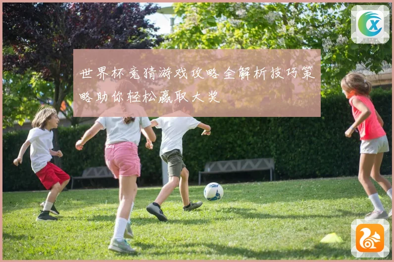 世界杯竞猜游戏攻略全解析技巧策略助你轻松赢取大奖
