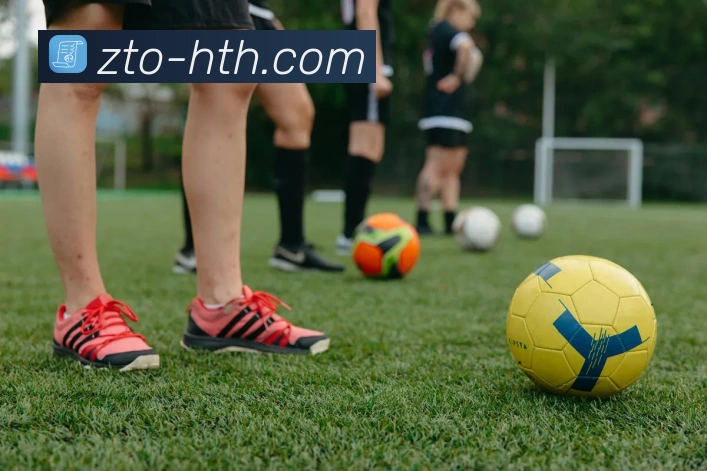 华体会官网全站App